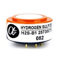 Hidrojen Sülfür Sensör (H2S Sensor) - H2S-B1
